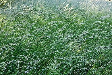 街上最靓的鸟！《滑板小鸟》现已登陆PS4和PS5主机